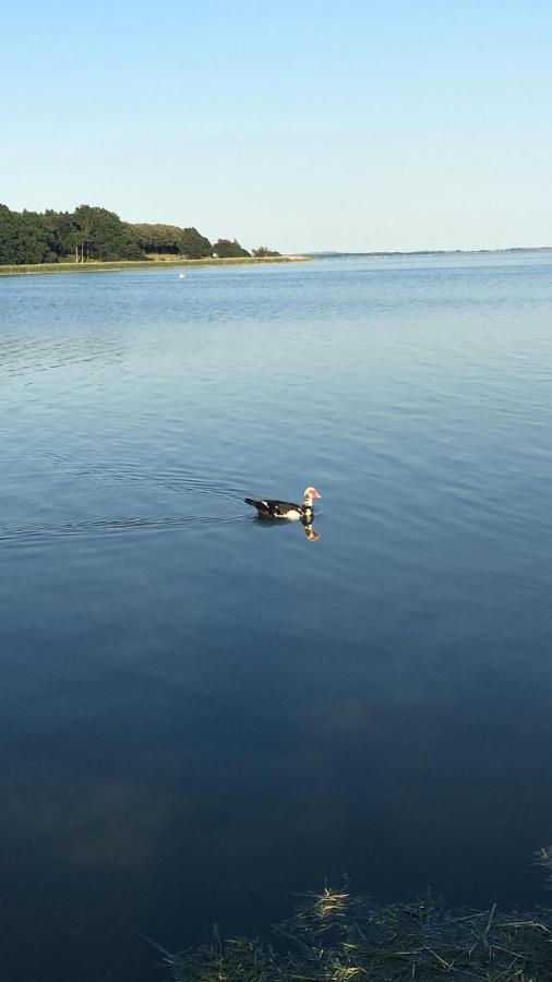 Sofryd B&B Præstø Buitenkant foto